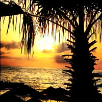 #canon #cyprus #sun #bestoftheday #beautiful #sunset #sea #red #beautiful #leaves #picoftheday #photooftheday #pretty