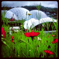 #edenproject #europe #Eden #gardens #flowers #greenhouse #domes #grass